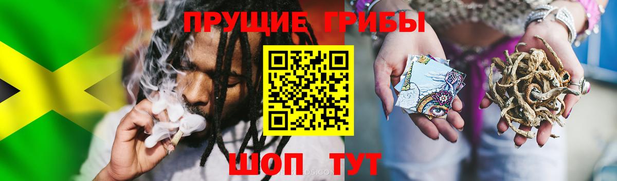 Димитровград  Галлюциногенные грибы Magic Shrooms  Вход с VPN 